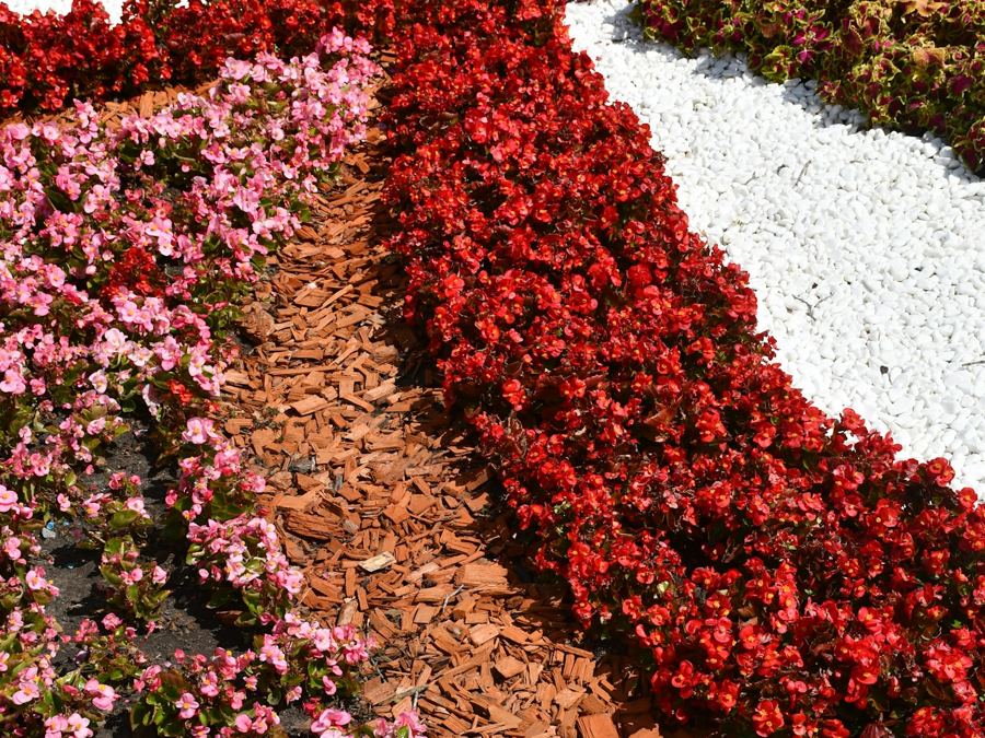 Flowerbed Design & Install in Benton, AR