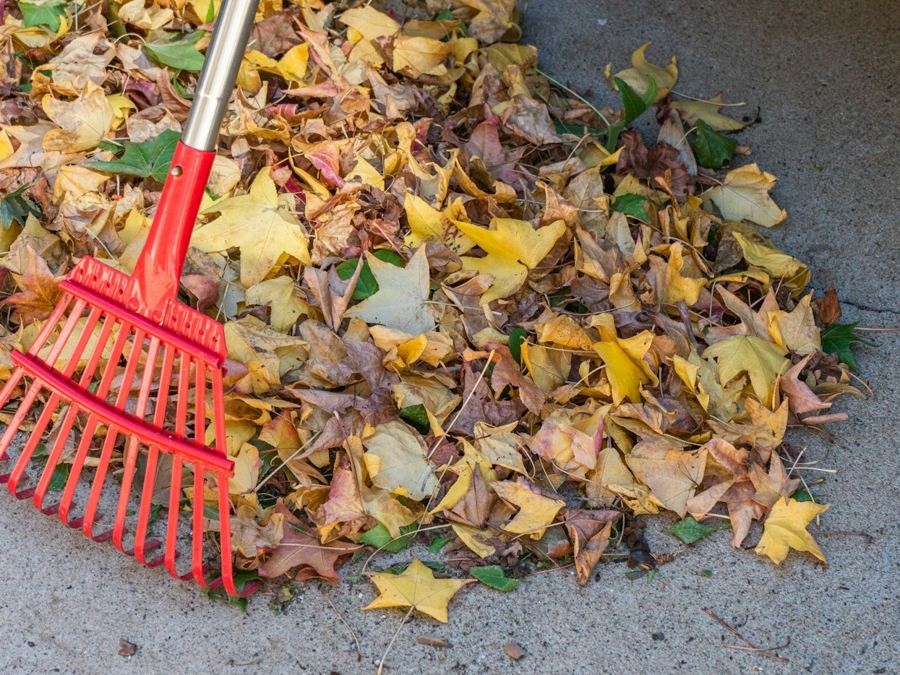 Leaf Cleanup & Removal in Benton, AR